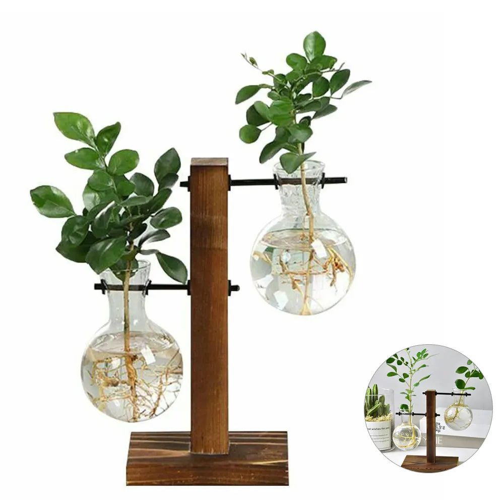 Creative Glass Desktop Planter Bulb Vase