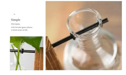 Creative Glass Desktop Planter Bulb Vase