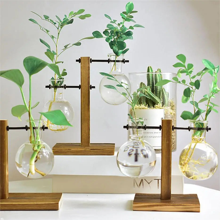 Creative Glass Desktop Planter Bulb Vase