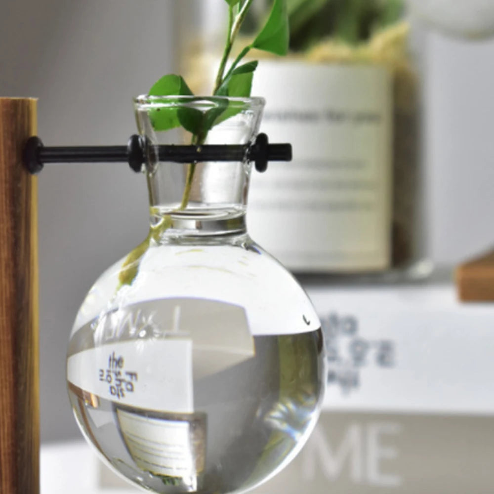 Creative Glass Desktop Planter Bulb Vase